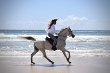 Australia-NSW-Comboyne Plateau and Beach Ride